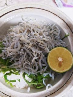 釜揚げしらす丼-レシピのメイン写真