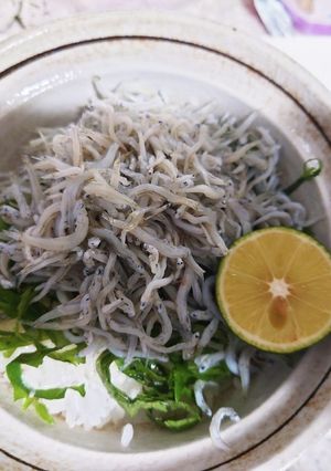 釜揚げしらす丼-レシピのメイン写真