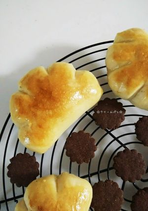 クリームパン-レシピのメイン写真