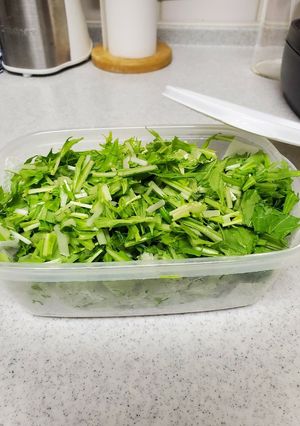 とんでもなく使いやすい水菜の保存法-レシピのメイン写真