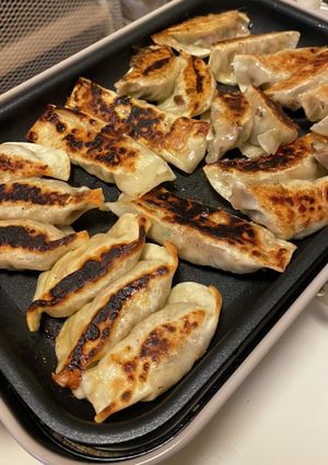 チーズ餃子-レシピのメイン写真