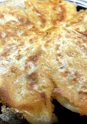 発展途上の羽根付き焼き餃子（大豆入）-レシピのメイン写真