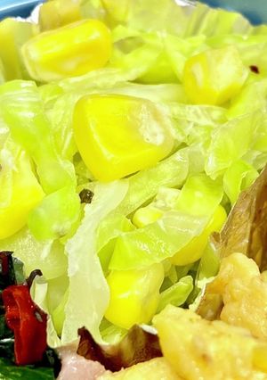 ハチミツ入りコールスロー^_^タロの弁当-レシピのメイン写真