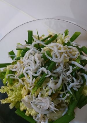 おうち居酒屋☆こねぎ&白菜のサラダ-レシピのメイン写真