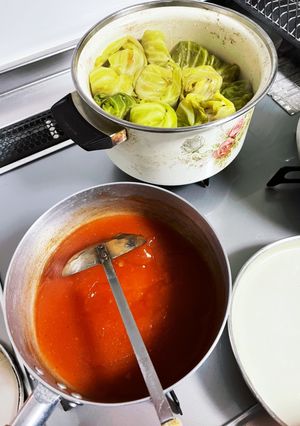 鹿のロールキャベツ-レシピのメイン写真