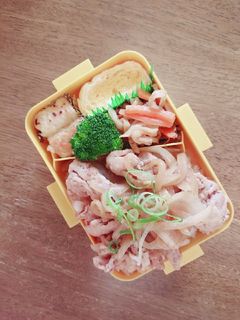 豚のしょうが焼弁当♪-レシピのメイン写真