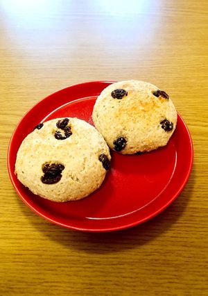 オートミールと米粉と豆腐のパン-レシピのメイン写真