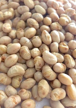 レンジで簡単福豆-レシピのメイン写真