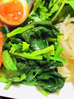 ほうれん草のナムル・中華副菜-レシピのメイン写真