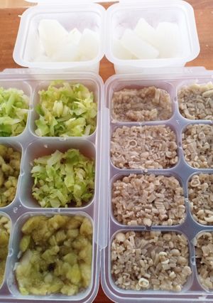 離乳食用野菜ストック（電子レンジ）-レシピのメイン写真