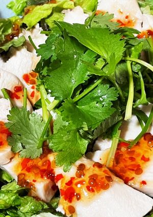 鶏むね肉のパクチーサラダ-レシピのメイン写真
