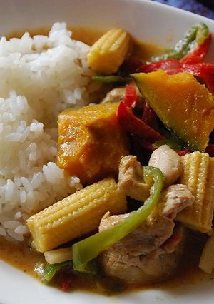 タイレッドカレー☆かぼちゃ入り-レシピのメイン写真