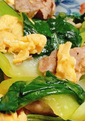 豚バラとチンゲン菜のオイスター炒め-レシピのメイン写真