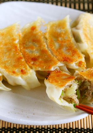 シンプル材料の白菜餃子-レシピのメイン写真