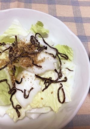 白菜と塩昆布のサラダ-レシピのメイン写真