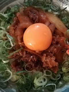 おひとりさま丼(ネギ玉牛丼)-レシピのメイン写真