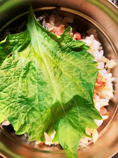 お弁当箱の蓋につかない!-レシピのメイン写真