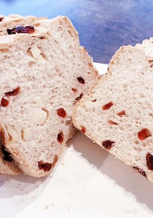 フランスパンコースでクランベリー食パン-レシピのメイン写真
