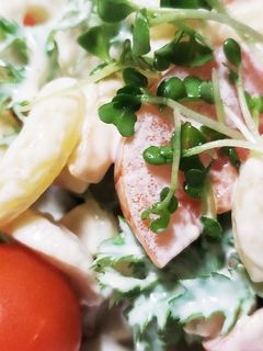 お年寄り絶賛シリーズ☆山葵菜サラダ☆-レシピのメイン写真