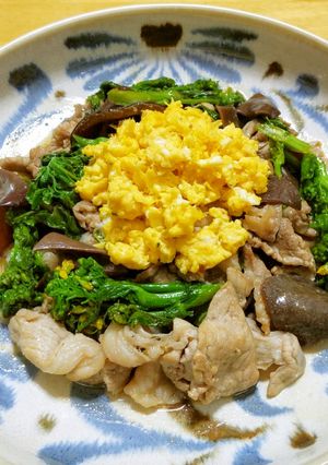 菜の花とキクラゲに豚こま肉のからし炒め-レシピのメイン写真
