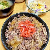 16sep/B-pro様ご相談用 基本からアレンジまで！思わずつくりたくなる「牛丼 吉野家」のレシピ
