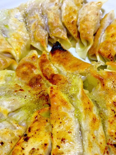 餃子(皮市販)-レシピのメイン写真