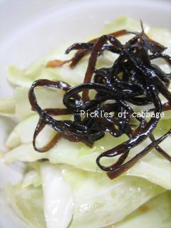 キャベツの塩こんぶ和え-レシピのメイン写真