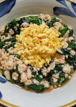 鳥ひき肉とニラのあんかけ玉子丼-レシピのメイン写真