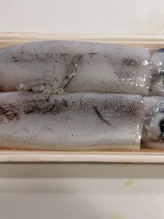 ★丸ごと一匹★いかの下処理-レシピのメイン写真