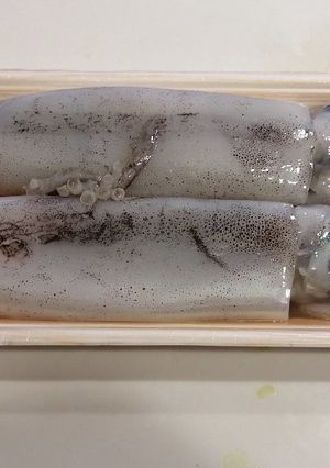 ★丸ごと一匹★いかの下処理-レシピのメイン写真