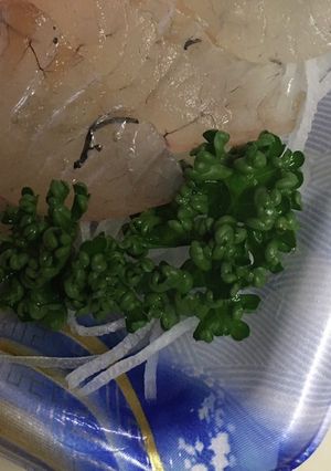 刺身のつまのパセリの活用法-レシピのメイン写真