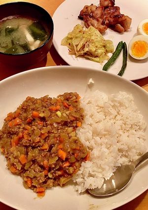 ドライカレー^_^タロの弁当　晩ごはん編-レシピのメイン写真