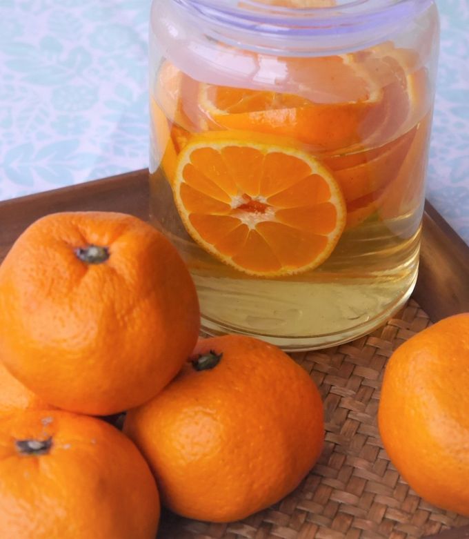 みかん@プロフィール必読ページ Orange Note Book / 有田みかん スケッチブック | おやさい