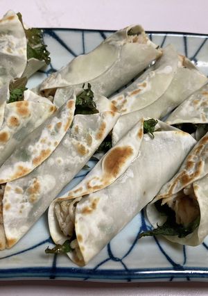 鶏肉と梅肉柚子の薫る和風餃子-レシピのメイン写真