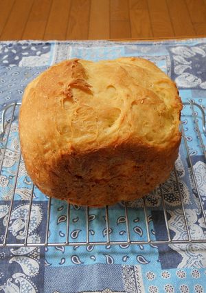いよかんパン-レシピのメイン写真
