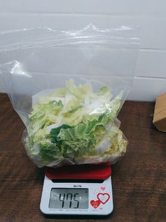 白菜の塩漬け-レシピのメイン写真
