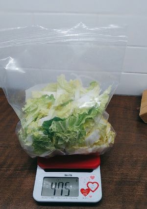 白菜の塩漬け-レシピのメイン写真