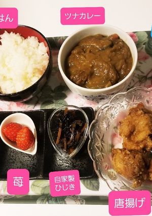 唐揚げ&ツナカレー&ゴルゴンチーズ苺他♡-レシピのメイン写真
