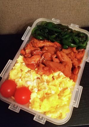 お弁当(2/4)三色弁当-レシピのメイン写真