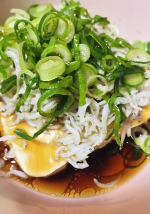 一番美味しい豆腐の食べ方。ベスト冷奴-レシピのメイン写真