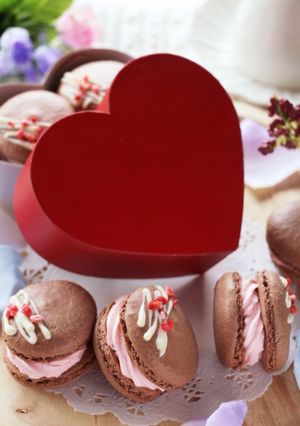 バレンタイン♡ショコラとベリーのマカロン-レシピのメイン写真