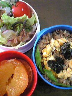 鶏そぼろ弁当-レシピのメイン写真