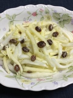 かんたん酢でりんごと白菜のヘルシーサラダ-レシピのメイン写真