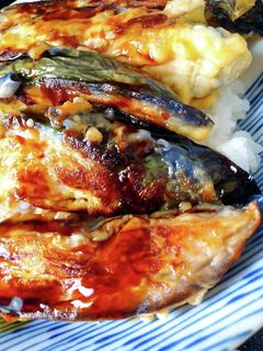 ナス天ぷら丼-レシピのメイン写真