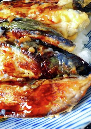 ナス天ぷら丼-レシピのメイン写真