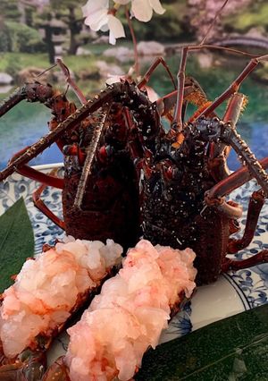 伊勢海老　姿造り-レシピのメイン写真