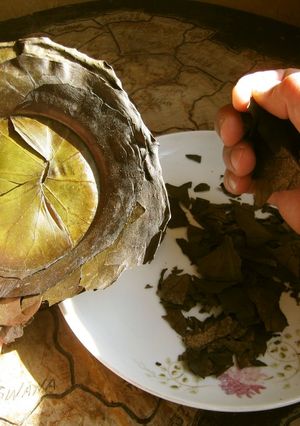 ツワブキの葉茶-レシピのメイン写真