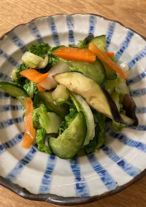 簡単浅漬け.白菜.茄子.きゅうり-レシピのメイン写真