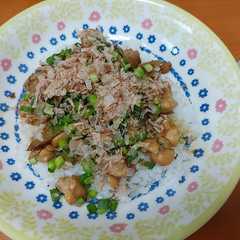A picture of ゴボウと鶏肉の甘辛ぶっかけめし.