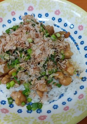 ゴボウと鶏肉の甘辛ぶっかけめし-レシピのメイン写真